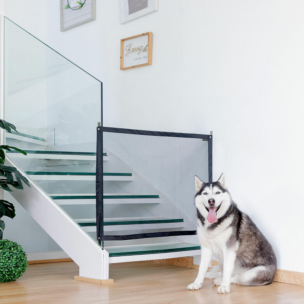PawWall
