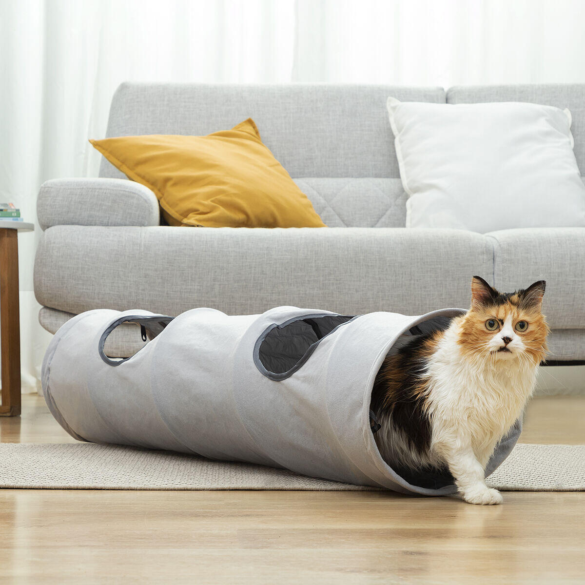 PawTunnel