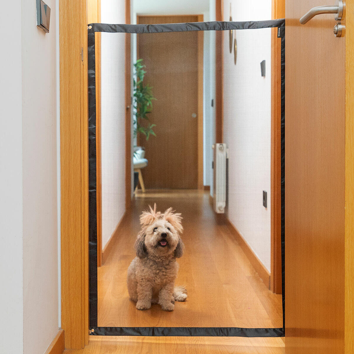 PawWall