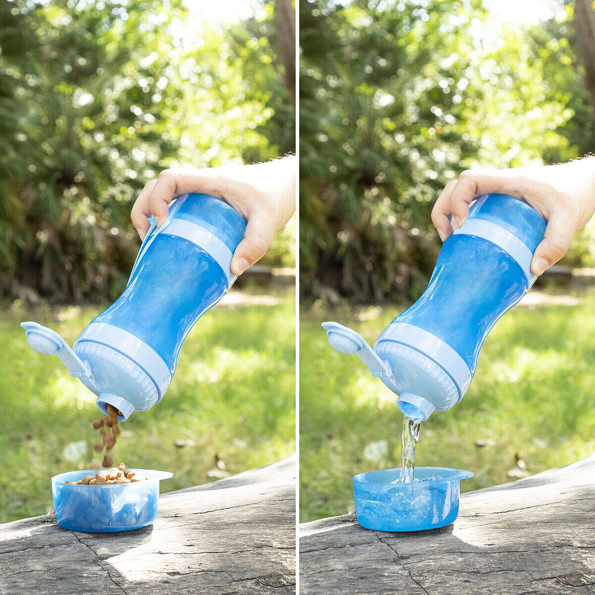 PawFood&Water