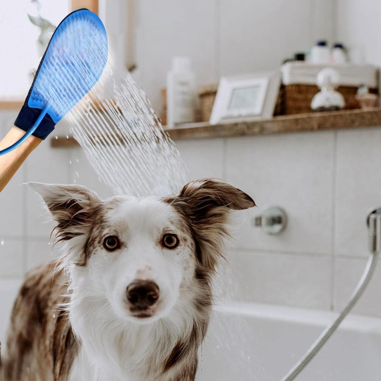 PawShower Plus