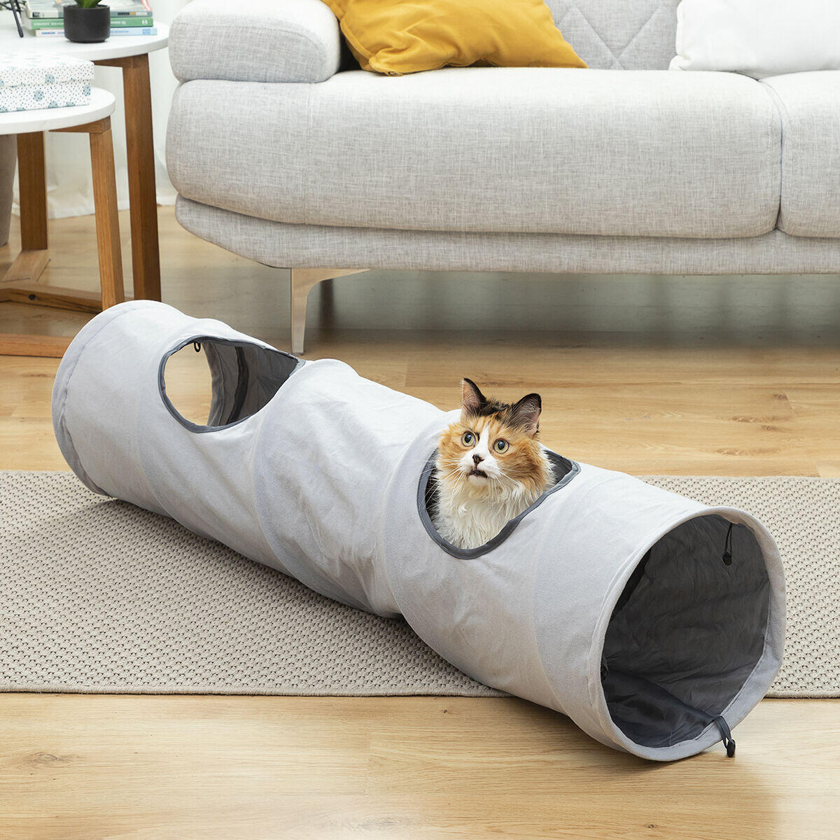 PawTunnel