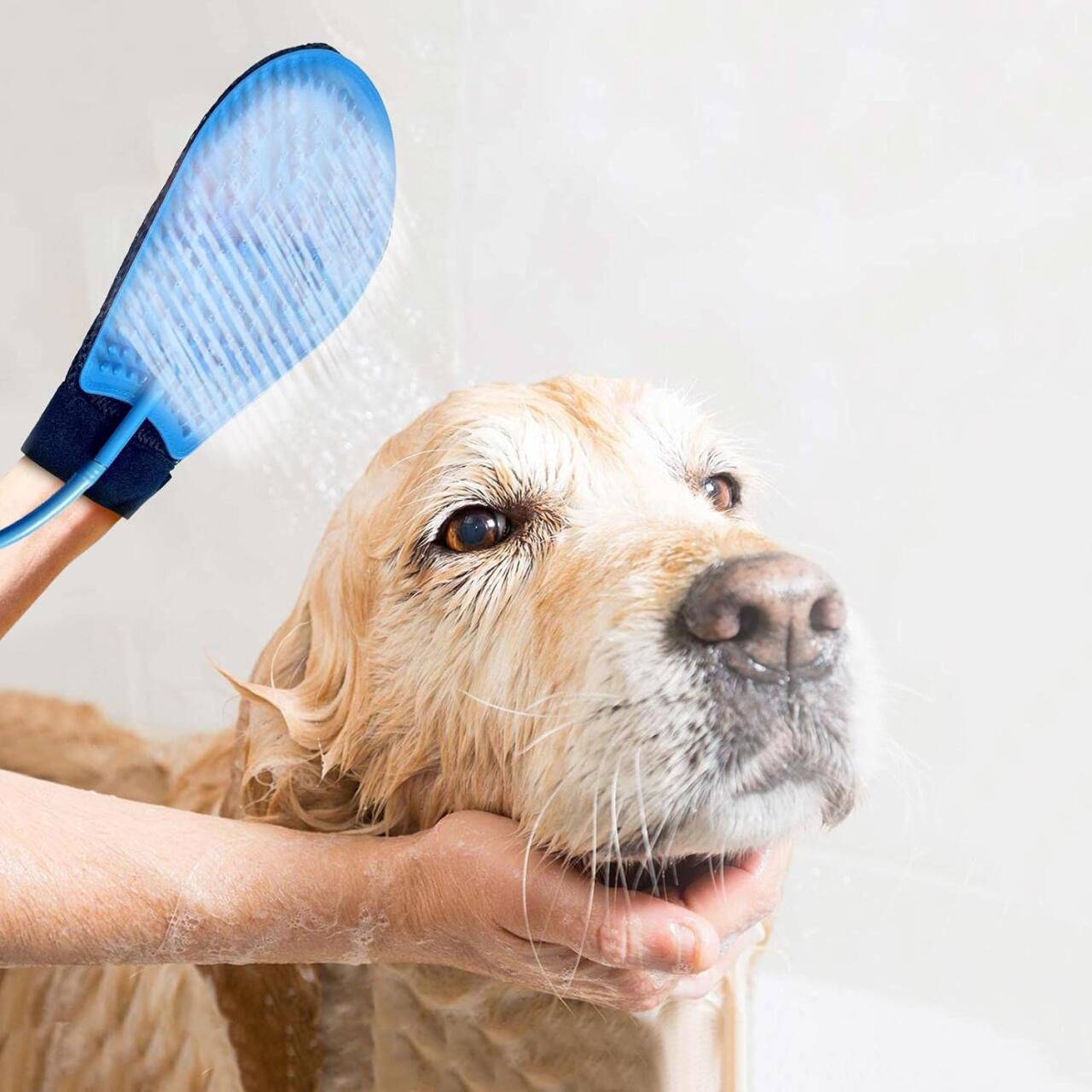 PawShower Plus