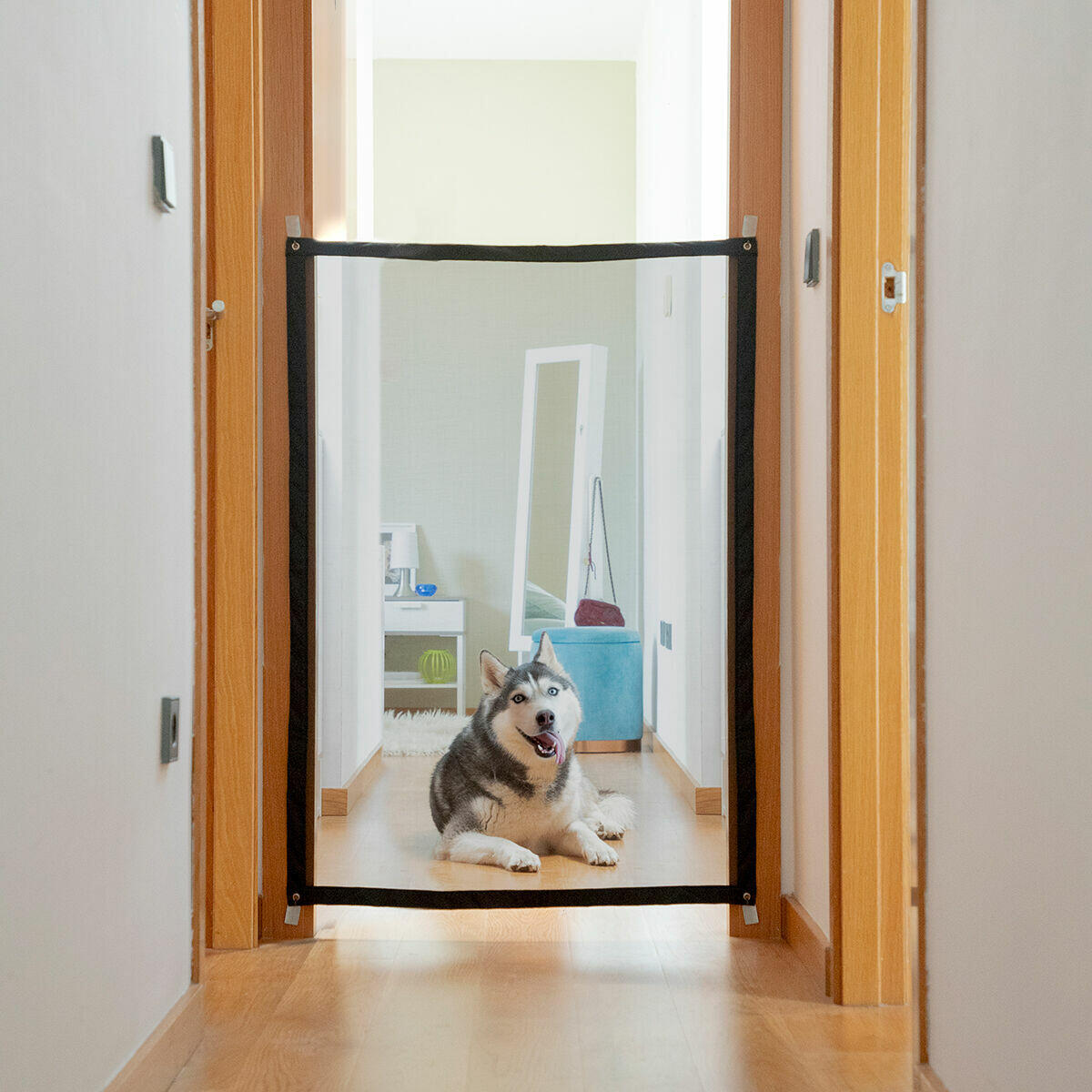 PawWall