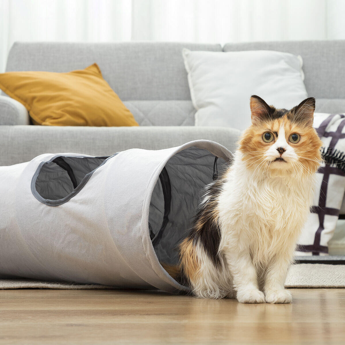 PawTunnel